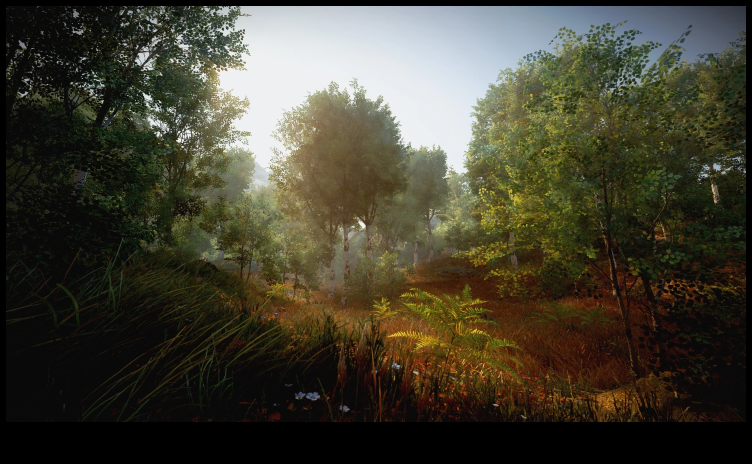 Edit Elysium: Stăpânirea artei magiei vizuale prin editare expertă