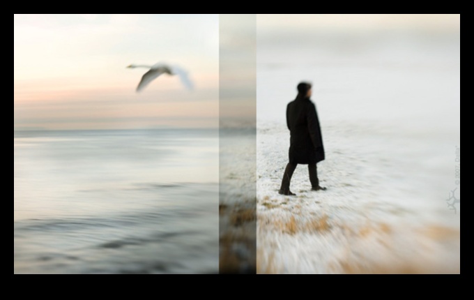 Dipticuri dinamice: Împerecherea imaginilor pentru impact vizual cu stiluri de fotografie duale