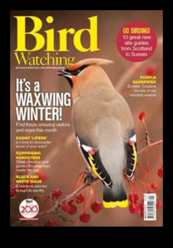 Competiții de observare a păsărilor Provocări prietenoase pentru observatorii pasionați de păsări 3 Competiții de observare a păsărilor: provocări prietenoase pentru observatorii pasionați de păsări