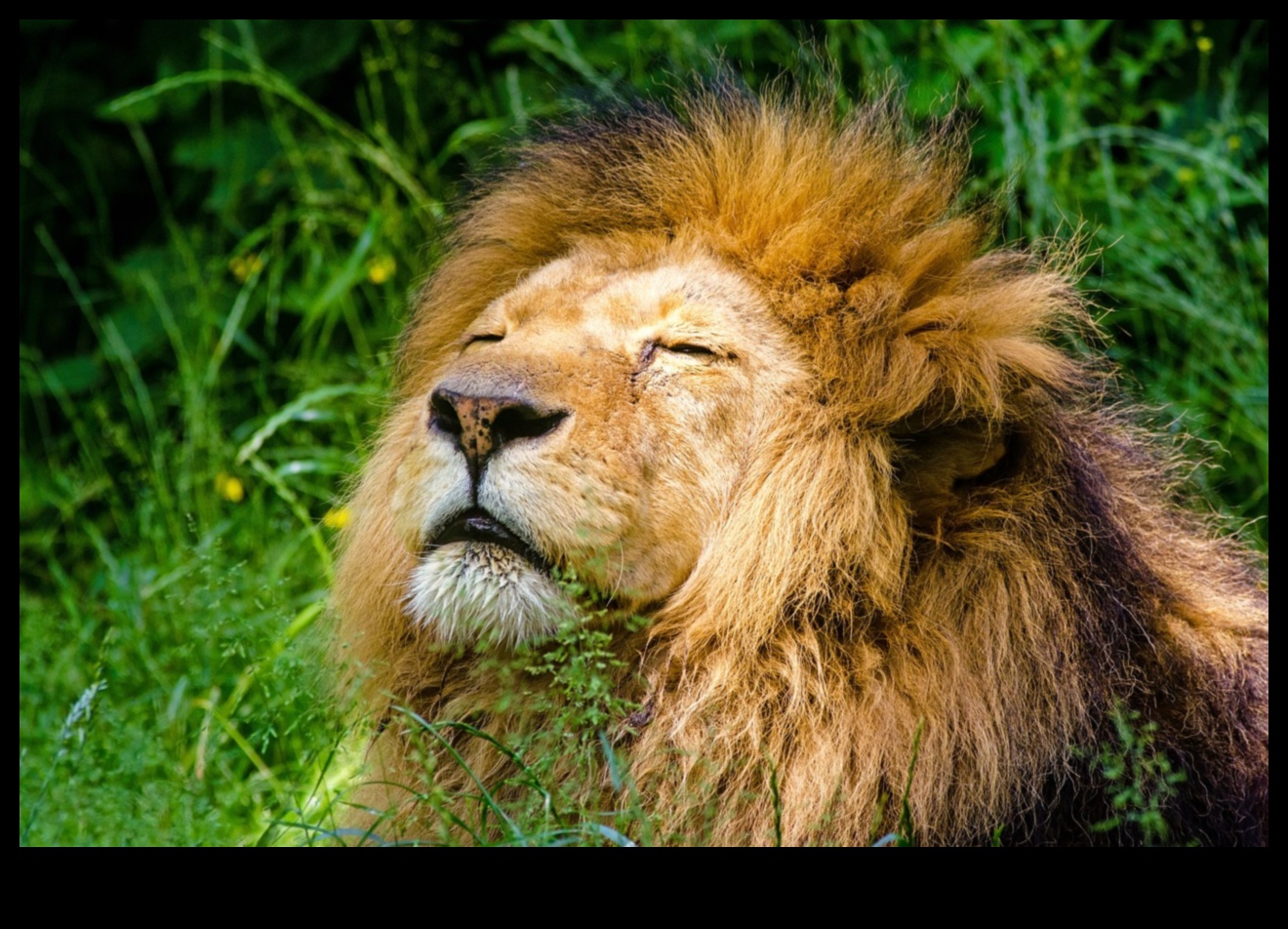 Aperture Alchemy: Transformă-ți fotografia cu educație expertă