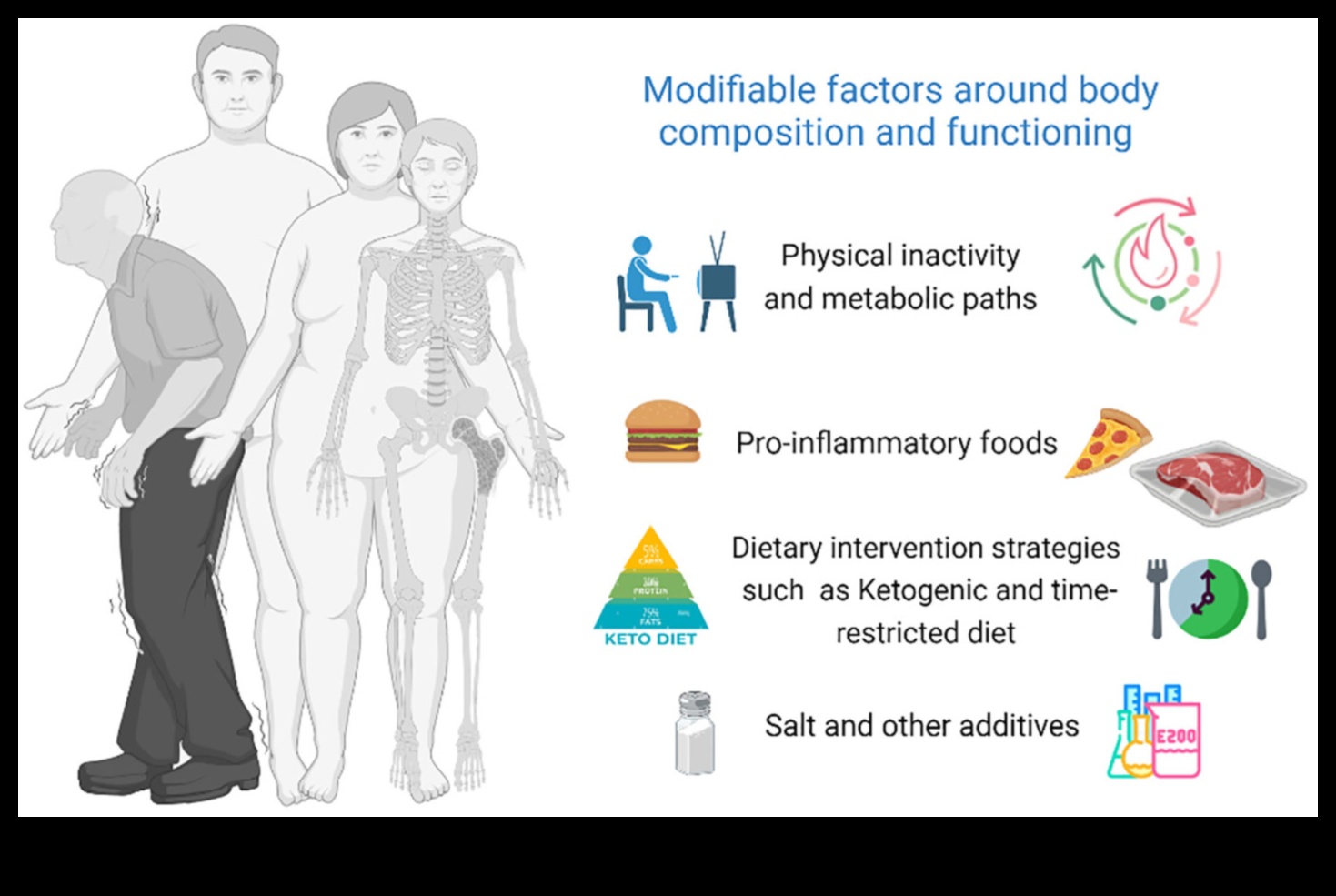 Impactul dietelor pe termen scurt asupra compoziției corporale