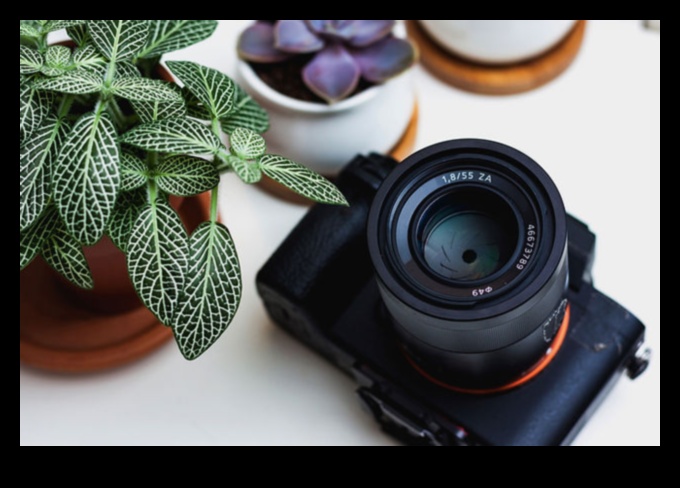 Capturați perfecțiunea: creșteți-vă arta cu echipamentul foto premium
