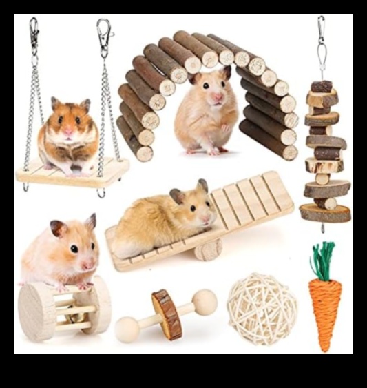 Repere ale hamsterilor Continuare: Extinderea garderobei pline de farmec a micului rozător