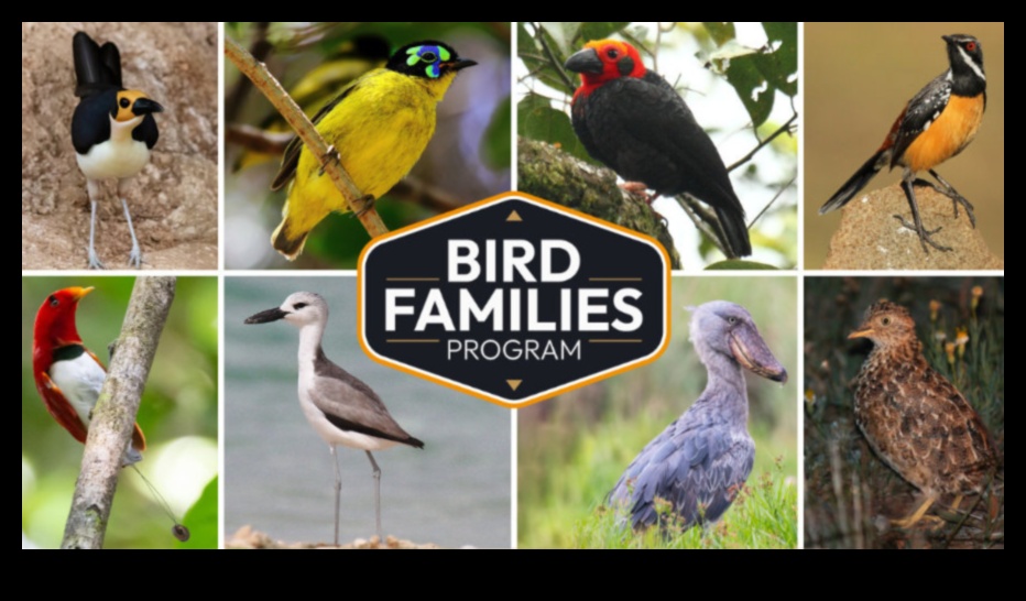 Excursii rutiere pentru observarea păsărilor care explorează diverse habitate pentru specii variate 2 Excursii pentru observarea păsărilor: explorarea diverselor habitate pentru specii variate