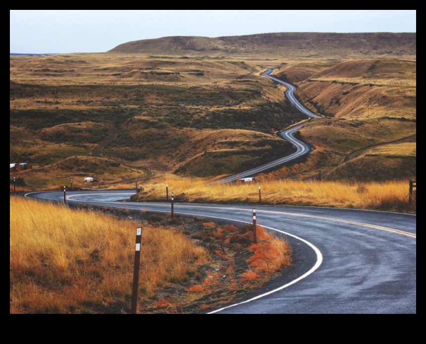 Drumul lung și sinuos către un stil de viață sănătos 9 Pot dietele pe termen lung să fie un catalizator pentru schimbări pozitive ale stilului de viață?
