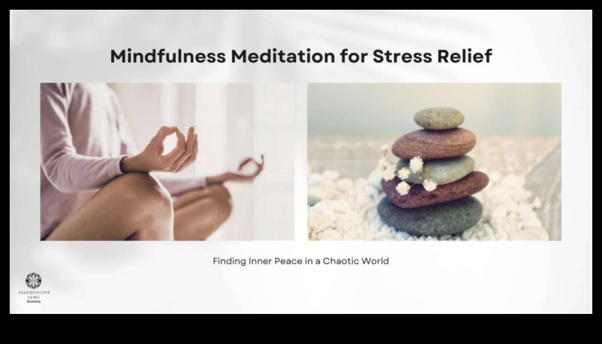 Practici pașnice: un manual pentru îmbrățișarea înțelepciunii pentru ameliorarea stresului