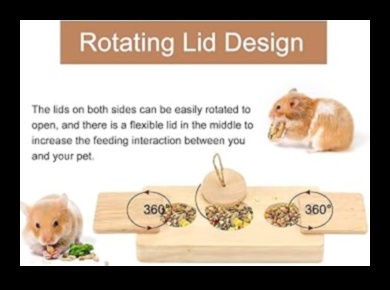 Timp de joacă pentru hamster: Jocuri distractive și interactive pentru îmbogățire