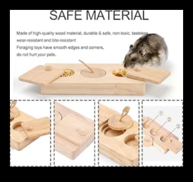 Timp de joacă pentru hamster: Jocuri distractive și interactive pentru îmbogățire