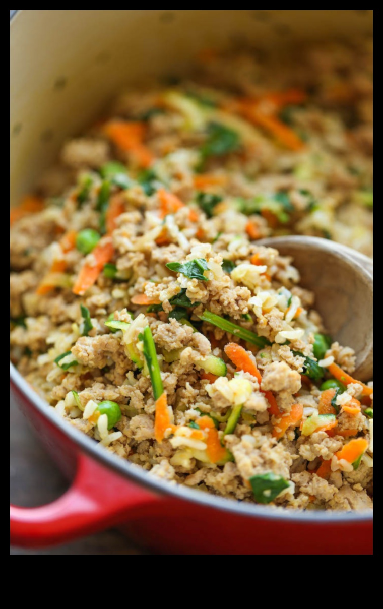 Căutare de bucătărie canină: explorarea rețetelor de casă pentru câini