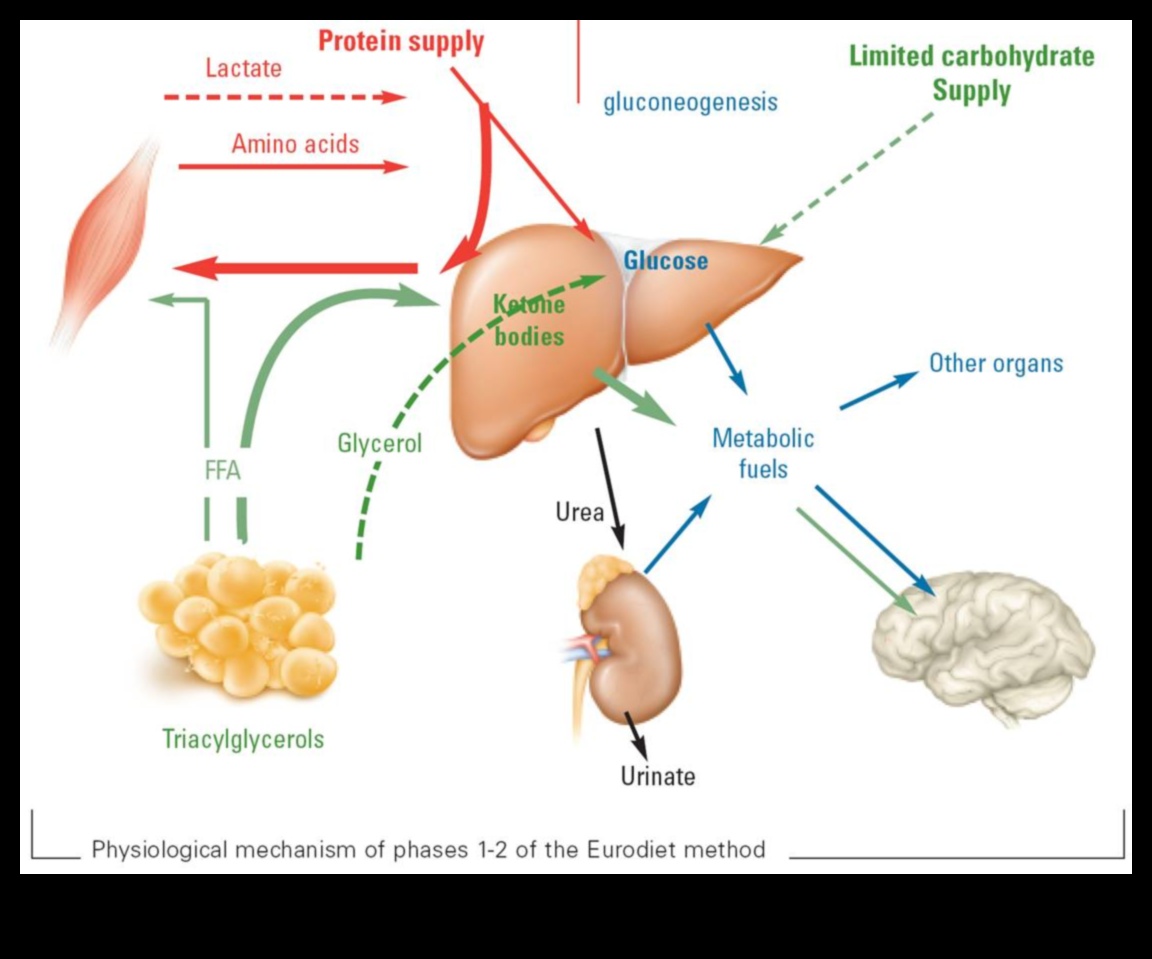 Keto și imaginea corporală pozitivă: o abordare holistică