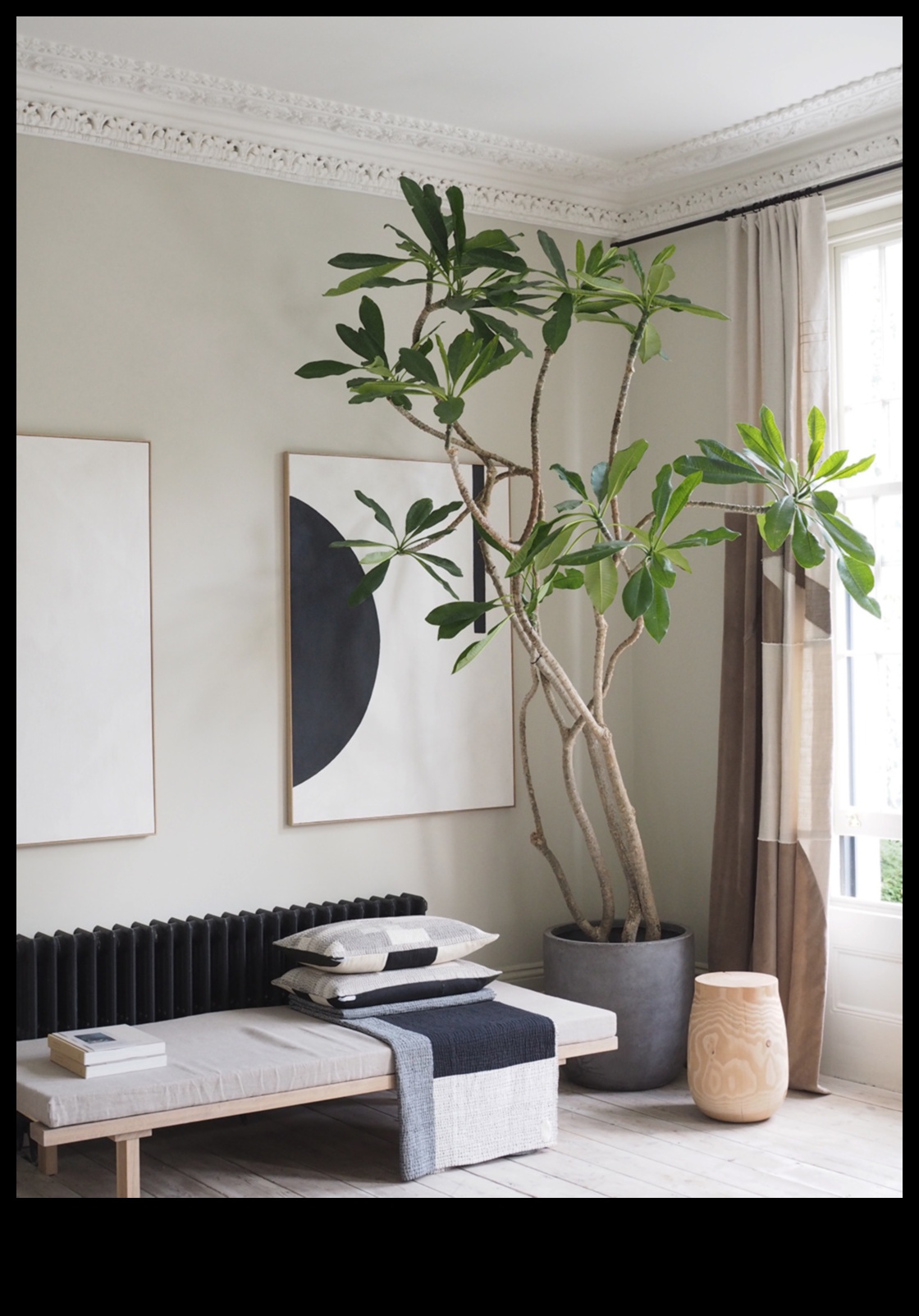 Cum pot încorpora elemente naturale în decorul casei mele?