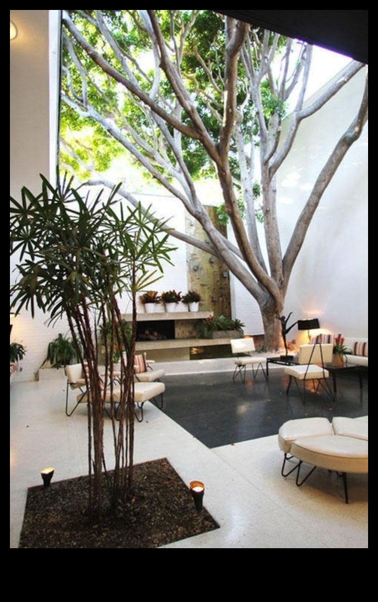 Cum pot încorpora elemente naturale în decorul casei mele?