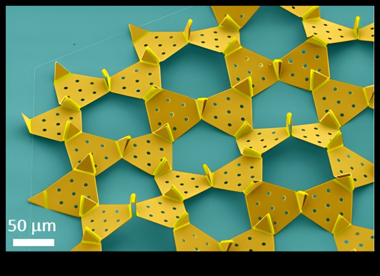 Beakonomics 4.0 Design inovator de cioc în evoluție 2 Beakonomics 4.0: Design inovator de cioc în evoluție