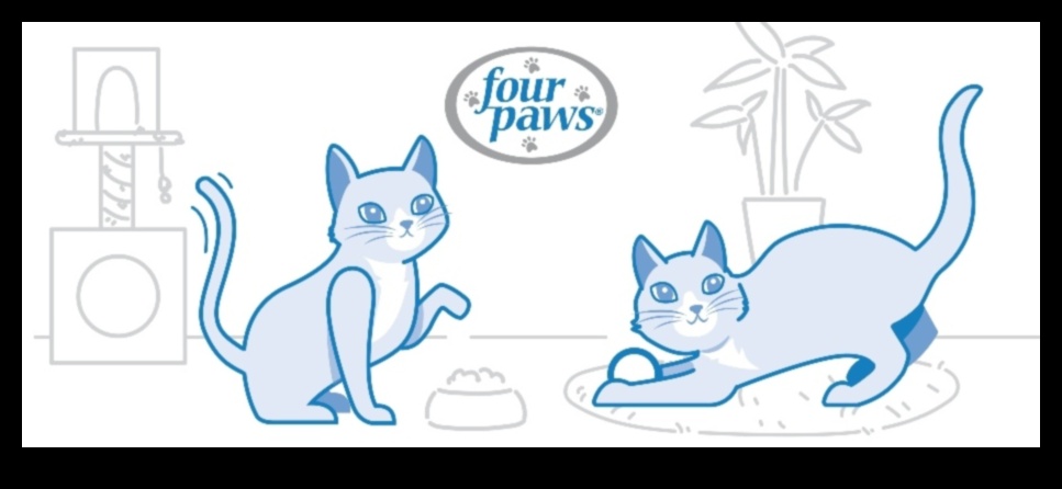 Limbajul gunoiului Continuare: Decodificarea comportamentelor de baie ale pisicilor