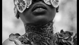 Abstract Allure: Depășirea limitelor cu stiluri de fotografie de avangardă