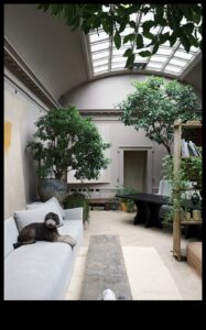 Cum pot încorpora elemente naturale în decorul casei mele?