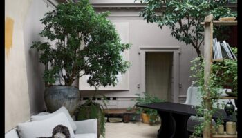 Cum pot încorpora elemente naturale în decorul casei mele?