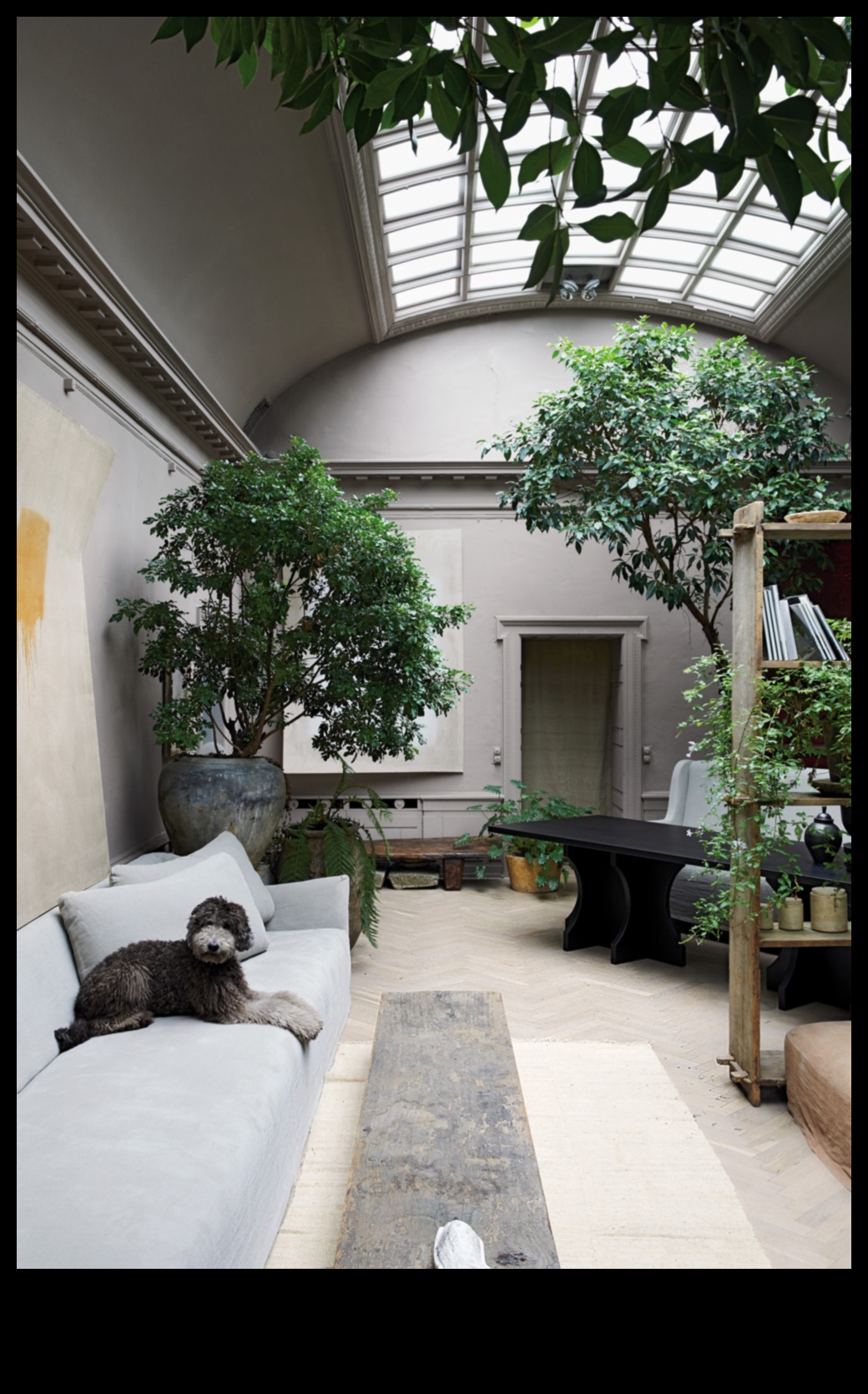 Cum pot încorpora elemente naturale în decorul casei mele?