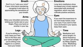 Amplasament în cadrul unui sfatuitor inspre practici de meditație ghidată inspre începători și nu abia 1 Calm în interior: un ghid pentru practicile de meditație ghidate