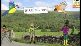 Competiții de observare a păsărilor: provocări prietenoase pentru observatorii pasionați de păsări