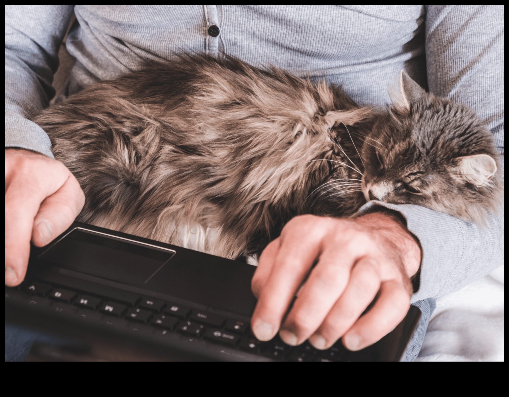 Conexiunea cu pisica Înțelegerea legăturilor între specii cu pisica ta 1 Conexiunea cu pisica: înțelegerea legăturilor între specii cu pisica ta