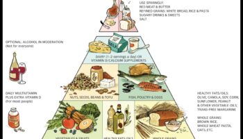 Crearea unui viitor mai sănătos: puterea dietelor în stil de viață