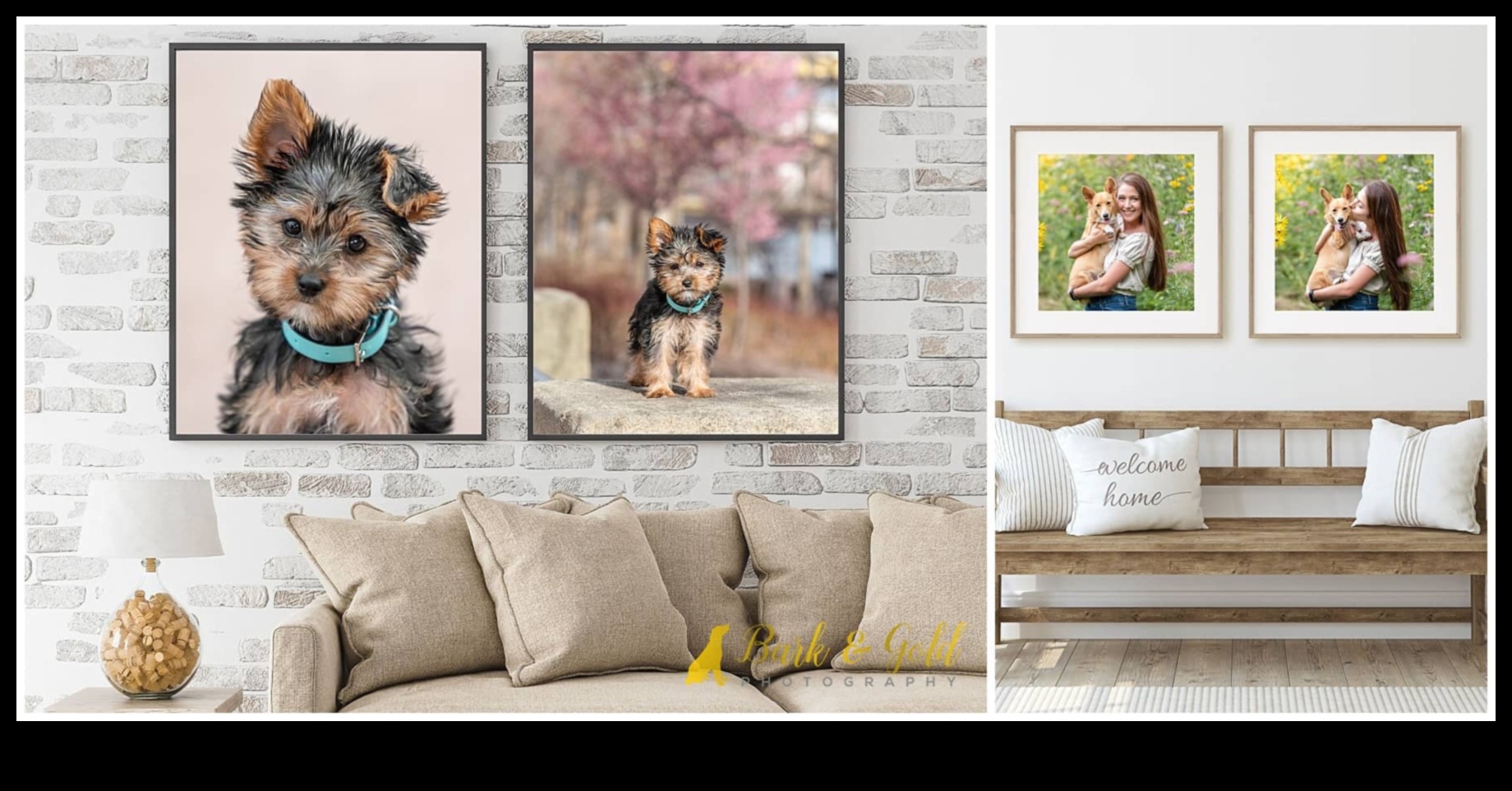 Dipticuri dinamice: Împerecherea imaginilor pentru impact vizual cu stiluri de fotografie duale