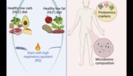 Diete pe termen lung și echilibru hormonal: Separând faptele de ficțiune