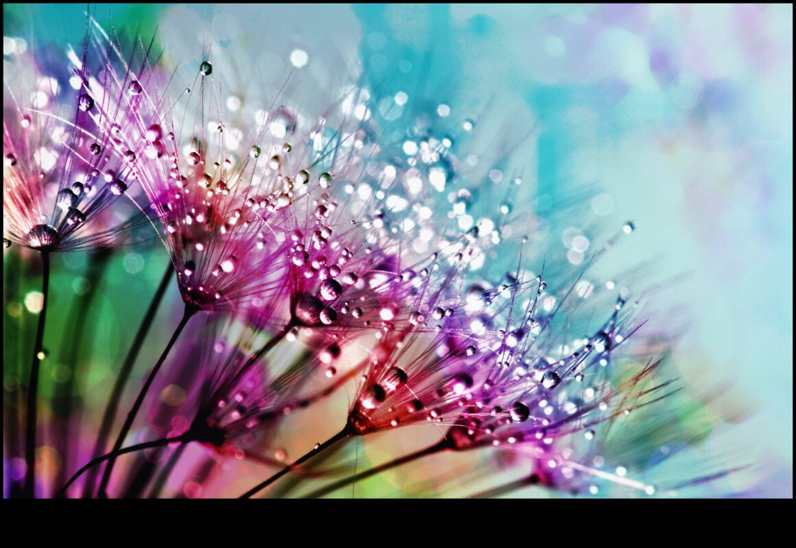 Dincolo de suprafață: dezvăluirea frumuseții ascunse în capturile macro