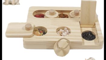 Timp de joacă pentru hamster: Jocuri distractive și interactive pentru îmbogățire