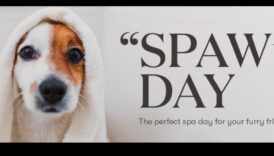 Răsfățarea animalelor de companie de buzunar: Idei pentru zilele balneare pentru prietenii tăi mici