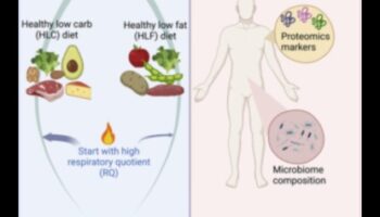Impactul dietelor pe termen scurt asupra compoziției corporale