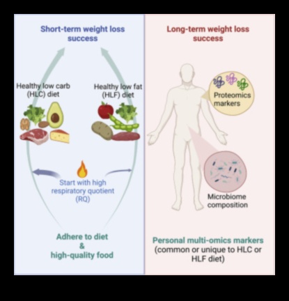 Impactul dietelor pe termen scurt asupra compoziției corporale