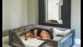 Plia supra câini DIY creând refugii confortabile supra cățelul tău 6 Paturi pentru câini DIY: Creați refugii confortabile pentru cățelul dvs