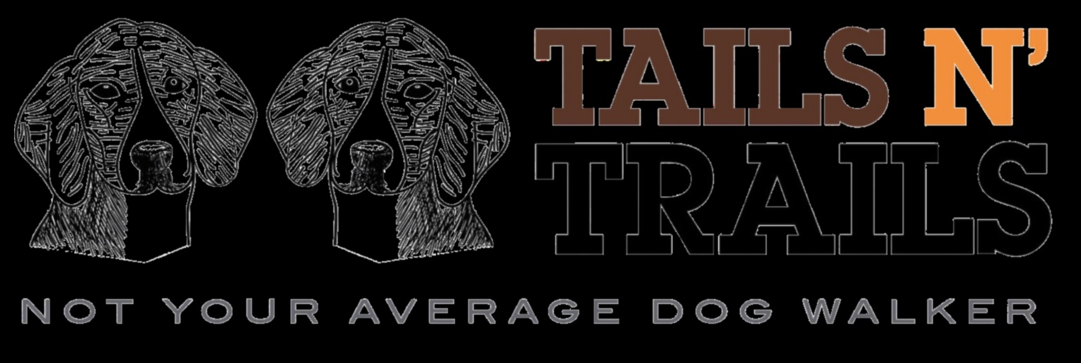 Cozi și trasee Aventuri în aer liber pentru câini 1 Cozi și trasee: aventuri în aer liber pentru câini