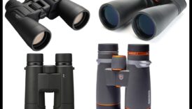 Tehnologia binoclurilor: Caracteristici de ultimă oră pentru păsări serioși
