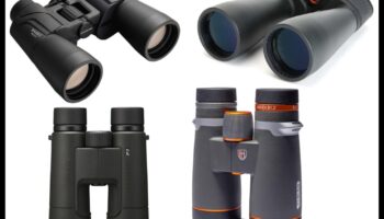 Tehnologia binoclurilor: Caracteristici de ultimă oră pentru păsări serioși